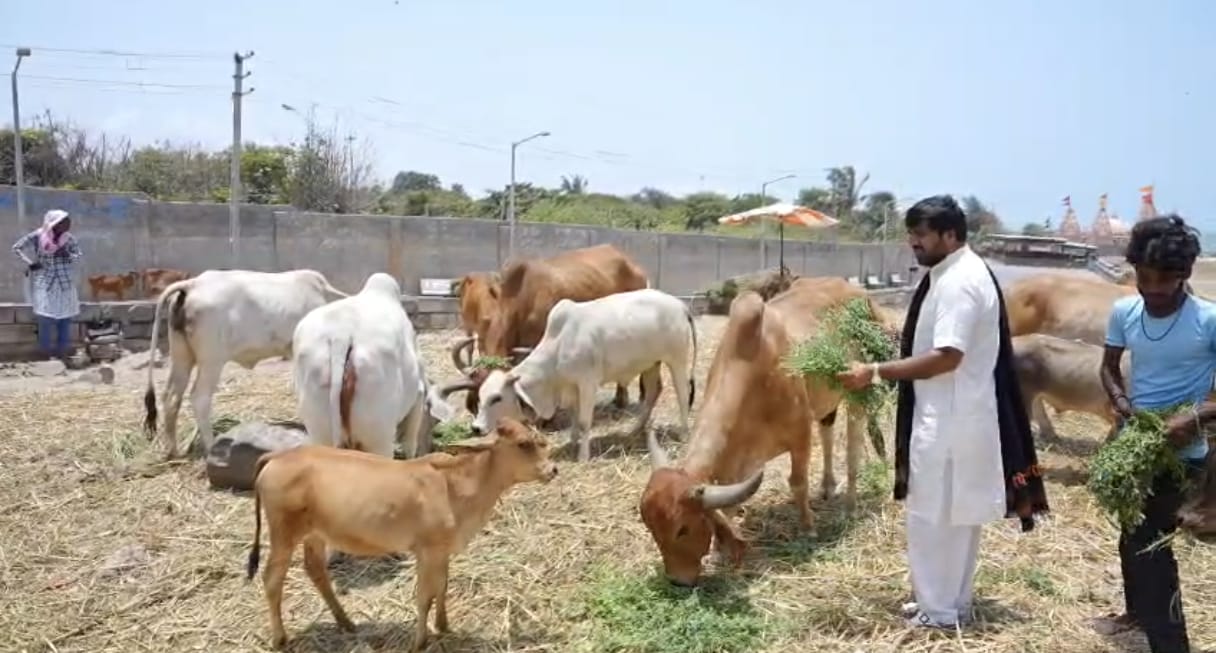 અન્નદાન ભોજન વિતરણ ૨